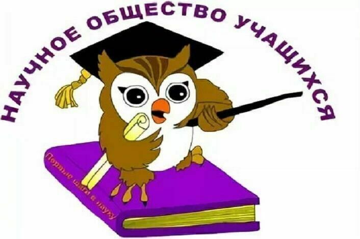 Школьное научное общество учащихся "Энергия".
