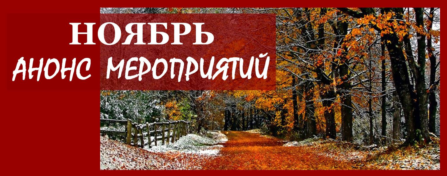 Анонс на ноябрь:.